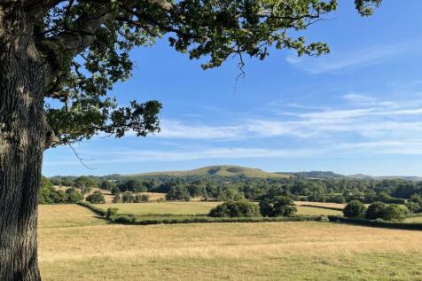 Nearby Walks withy views