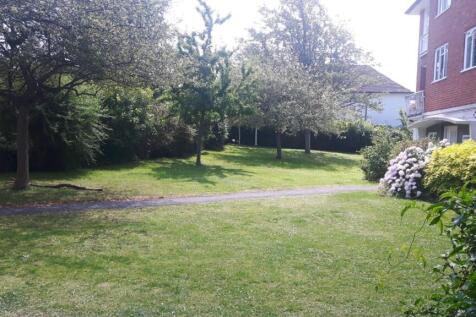 garden.jpeg