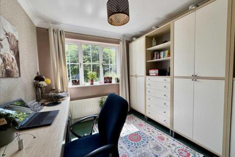 STUDY/SNUG