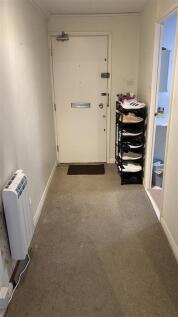 IMG_0269.JPEG