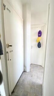 IMG_3182.JPEG