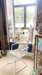 IMG_4523.JPEG