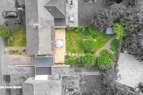 Birds Eye