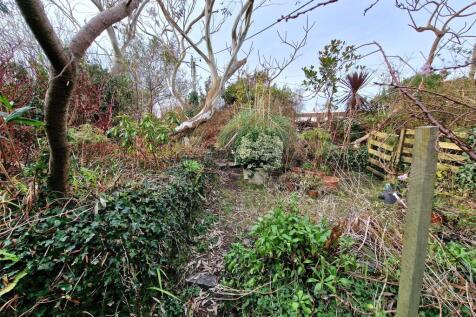 Communal Garden