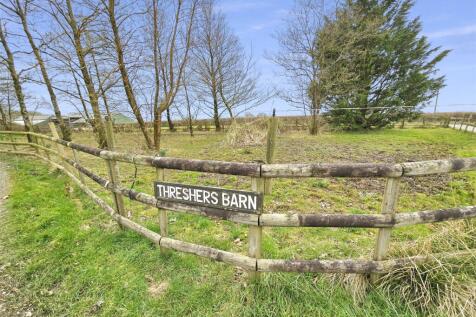 Entrance/Paddock