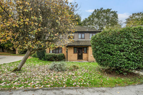 1370979-10-68fb96...