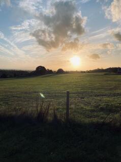 Sunset View