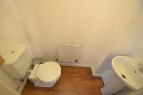 Photograph 6