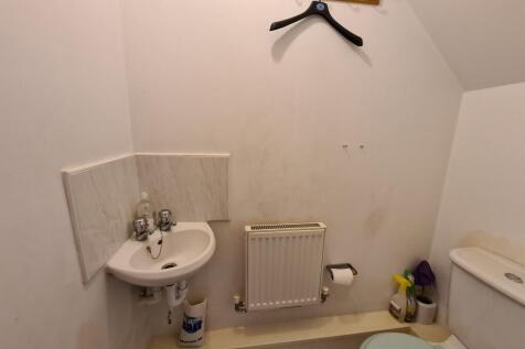 Photograph 10