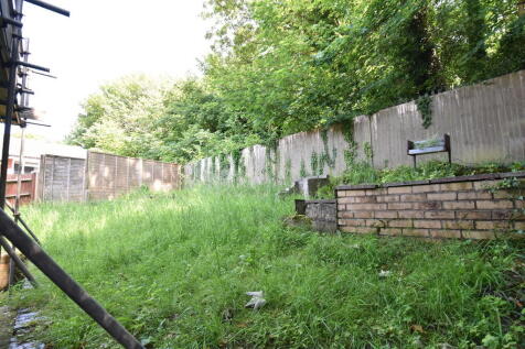 Back Garden