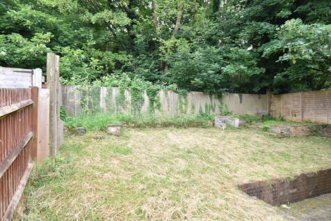 Back garden