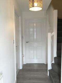 Picture 13