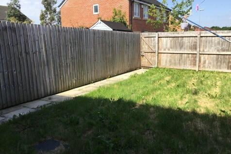 Picture 15