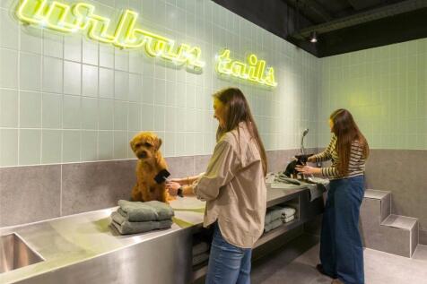 Urban Tails
