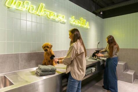 Urban Tails