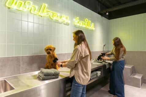 Urban Tails