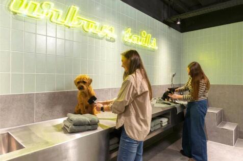 Urban Tails