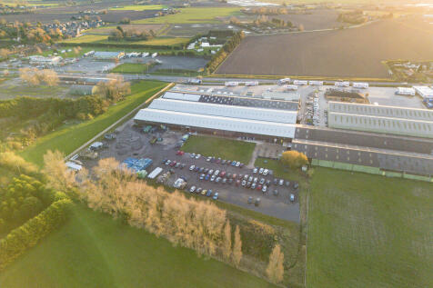 DJI_0973