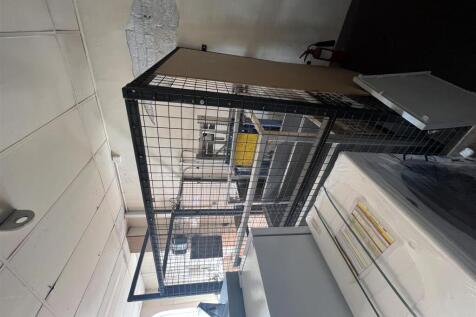 IMG_2974.jpeg