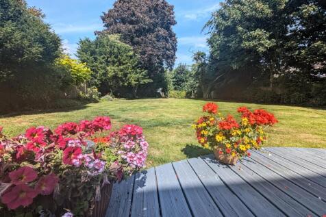 garden 1.jpg