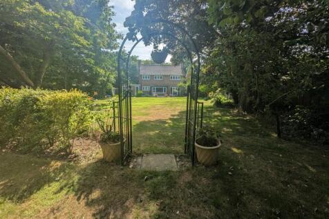 garden 3.jpg