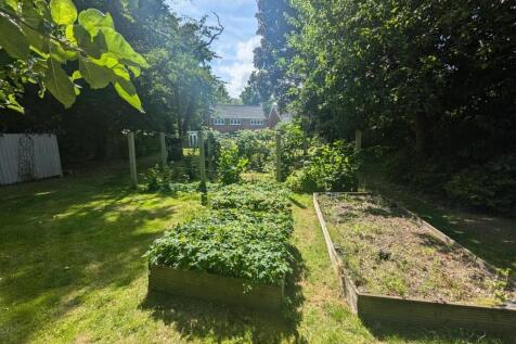 Garden.jpg