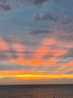IMG-20240611-WA0011.jpg