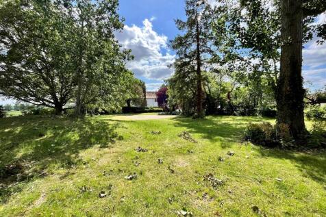 Garden 2.jpg