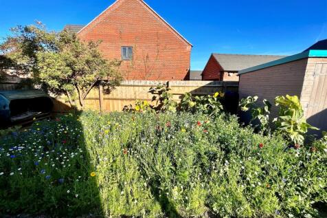 Garden.jpg