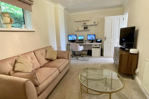 Study/Family Room
