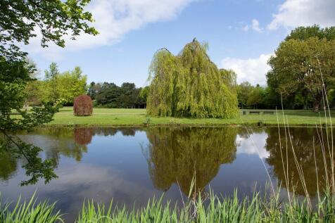 Property Image 69