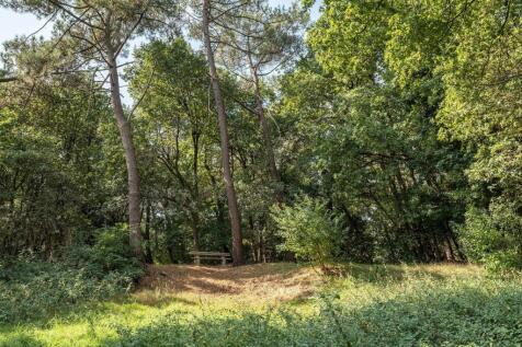 Property Image 29
