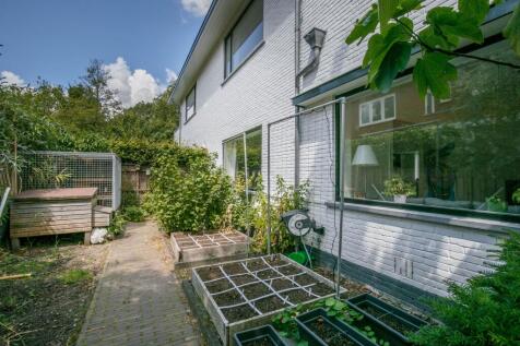Property Image 62