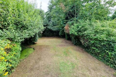 Garden 4