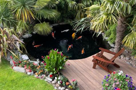 Feature Pond