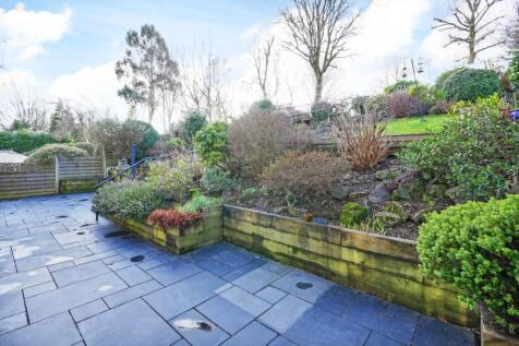 Rear patio 
