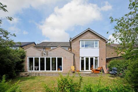 Rear Elevation