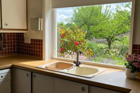View from Kitchen
