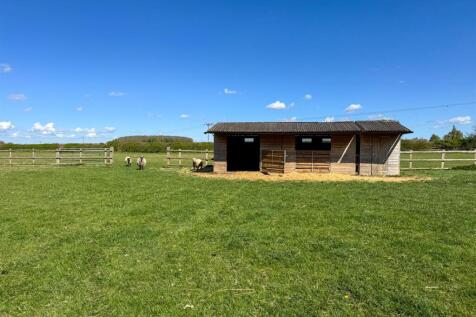 Property Image 61