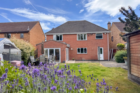 Property Image 44