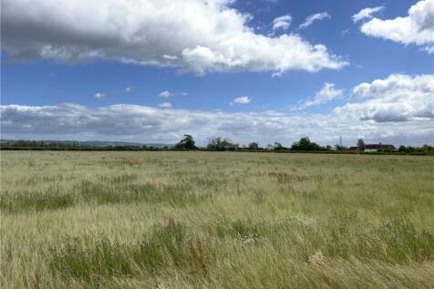 Grassland