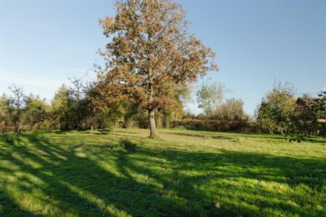 boxtree (30).jpg