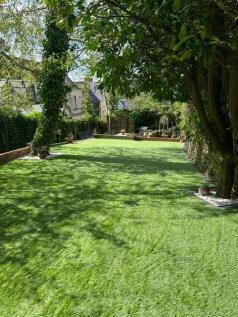new garden 3.jpg