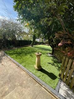 new garden 2.jpg
