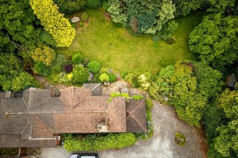 DJI_0277.jpg
