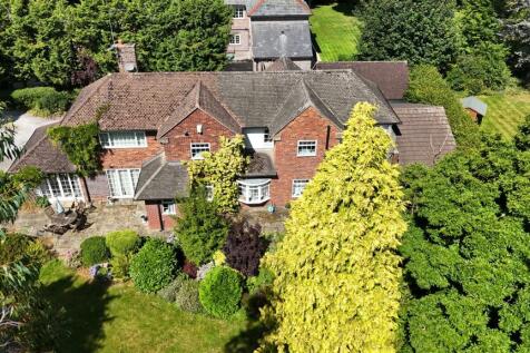 dji_fly_20240811_125242_0618_1723401051360_photo.J
