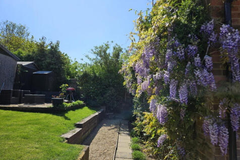 Garden with in bloom wisteria