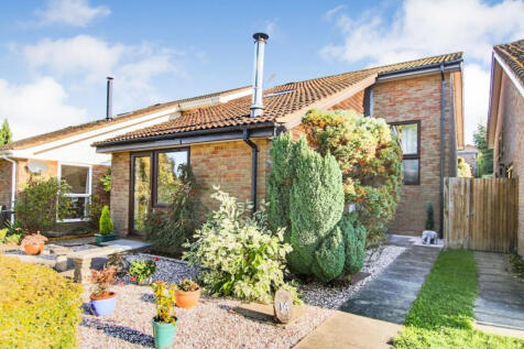 Front elevation and front garden