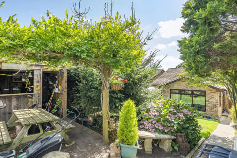 Pergola with wisteria tree providing a shaded area in the warmer months