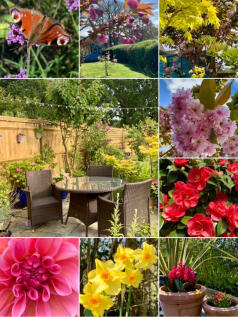 Examples of the fantastic range of colour of bloom in the garden